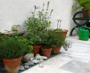 GartenBaur plant Kräutergarten