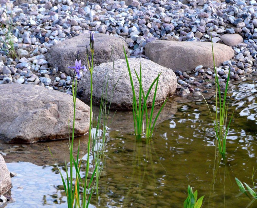 Teichbau Archive Gartenbaur Der Landschaftsarchitekt
