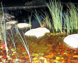 GartenBaur Teichanlage mit Steinen